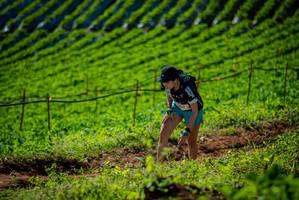 BIB: 
                            <button type="button" onclick="openModal(19161283)" class="btn btn-primary btn-sm float-right btn-popup" data-toggle="modal" data-target=".modal-high-quality">
                        <i class="fas fa-shopping-cart"></i> Add to Cart
                    </button>
                                            <button type="button" onclick="isThisMe(19161283, true)" class="btn btn-success btn-sm float-right btn-popup btn-isme hidden" data-toggle="tooltip" data-placement="bottom" title="นี่คือรูปของคุณใช่ไหม คลิกที่นี่เพื่อเอาเข้าอัลบั้ม">
                        <i class="fas fa-plus"></i> Add to album
                    </button>
                    <button type="button" onclick="isThisMe(19161283, false)" class="btn btn-warning btn-sm float-right btn-popup btn-isnotme hidden">
                        <i class="fas fa-ban"></i> Remove from album
                    </button>